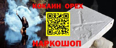 шишки Гай