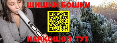 шишки Гай