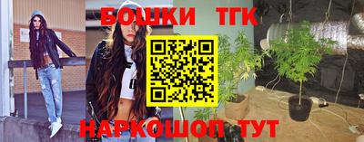 шишки Гай