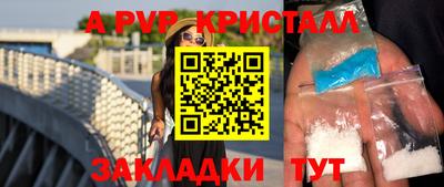 шишки Гай
