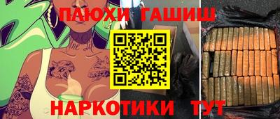 шишки Гай