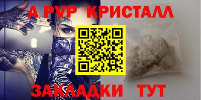 шишки Гай