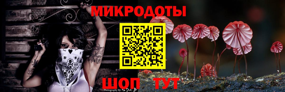 Псилоцибиновые грибы Cubensis Новоалександровск