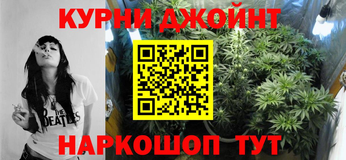 Бошки марихуана OG Kush  Вход с VPN  Каннабис Ganja  Шишки марихуана тримм  Новоалександровск  Шишки марихуана Amnesia 
